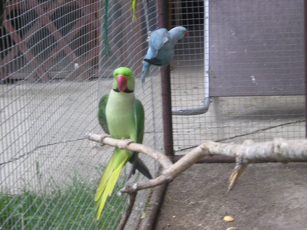 P1010011.JPG