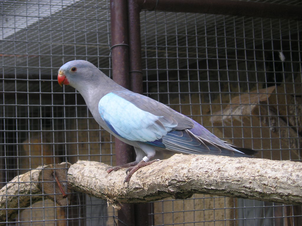P1010009.JPG