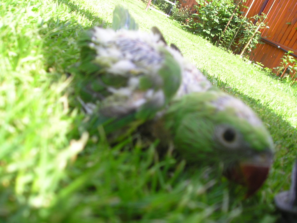 P1010009.JPG