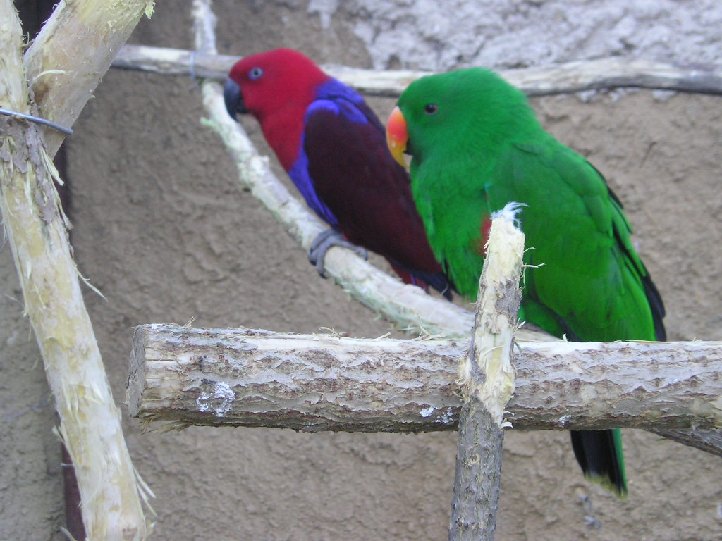 P1010003